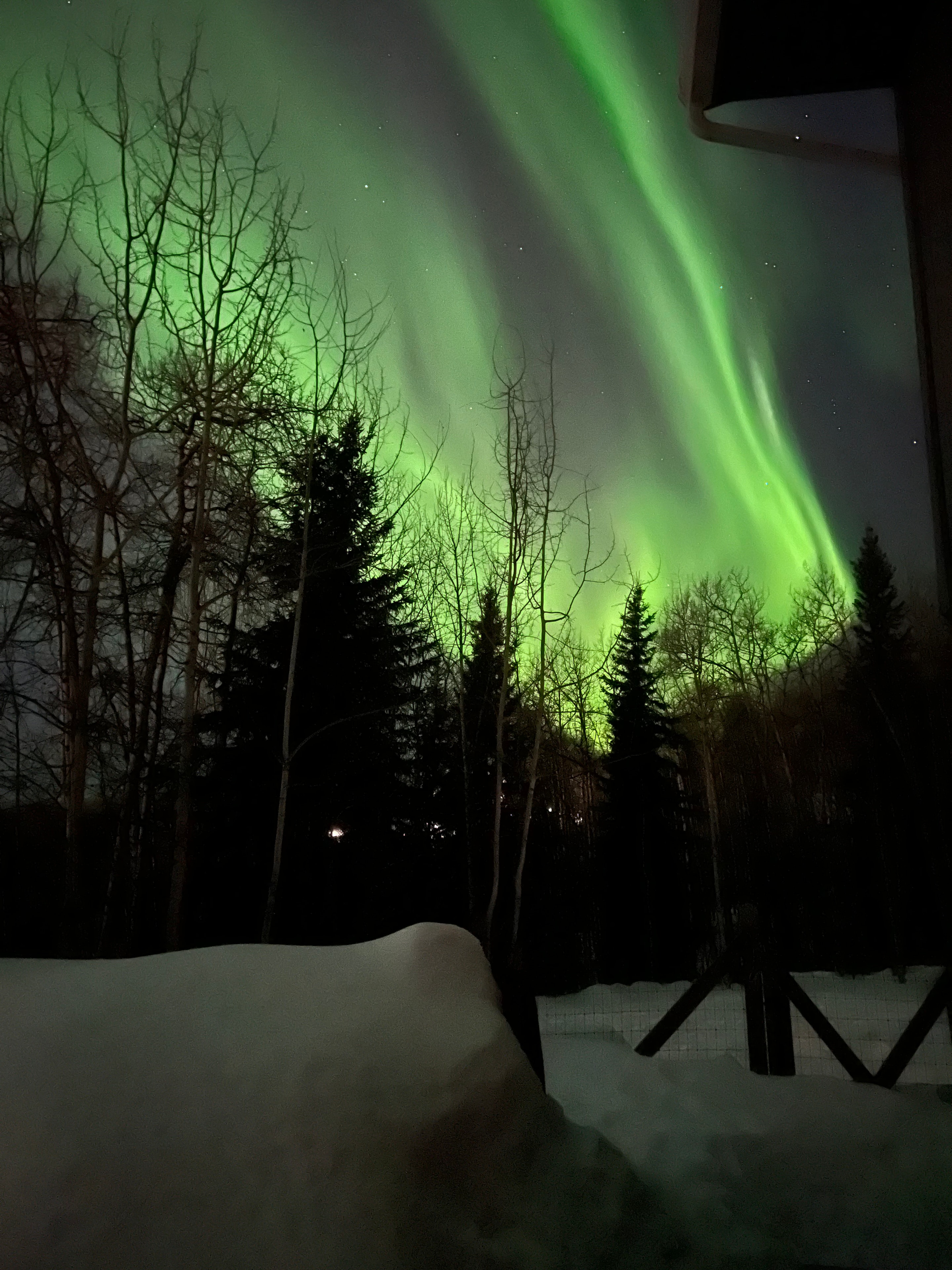 Northern Lights (aurora borealis) glowing green over the Fairbanks skyline